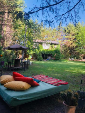 Casa Vineros = Montaña + Relax + Bodegas + verde